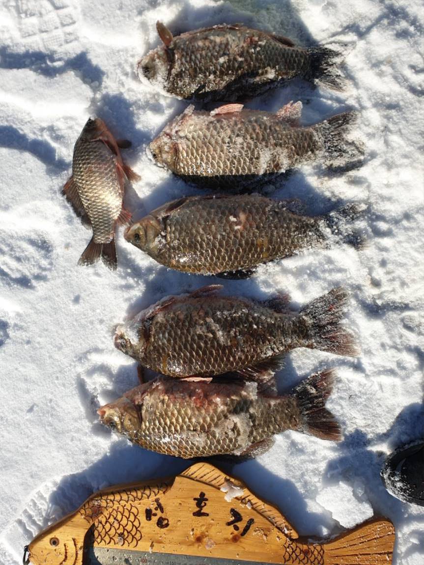 20201216_103134.jpg