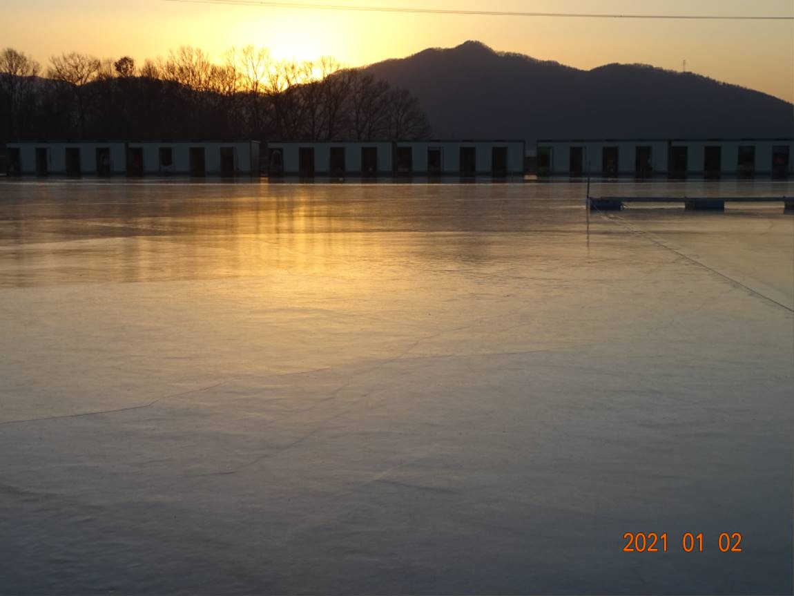 DSC08518.JPG