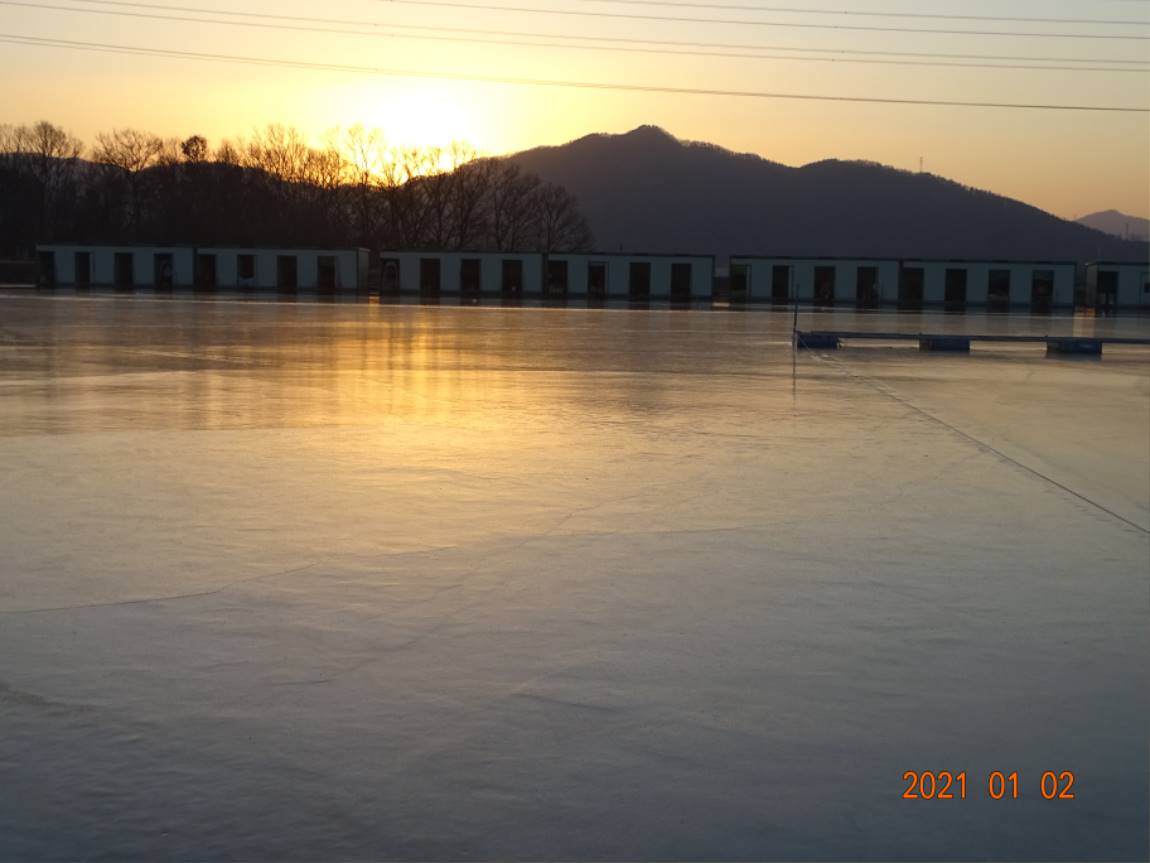 DSC08519.JPG