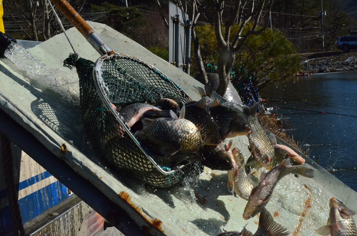 DSC_7985.JPG