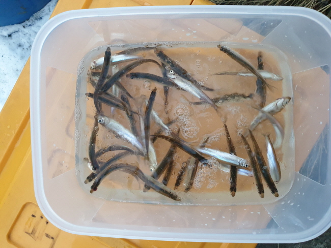 �� ����-20210120_173549.jpg