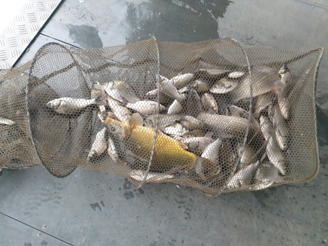 �� ����-20210128_104326.jpg