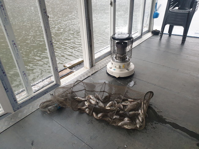 �� ����-20210128_104329.jpg