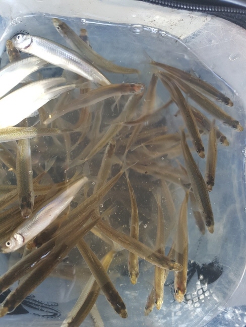 �� ����-1611540543336.jpg