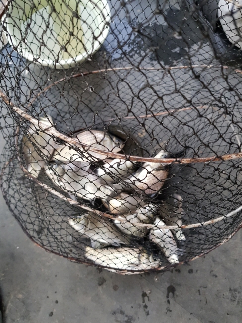 �� ����-Resized_20210123_090450.jpeg