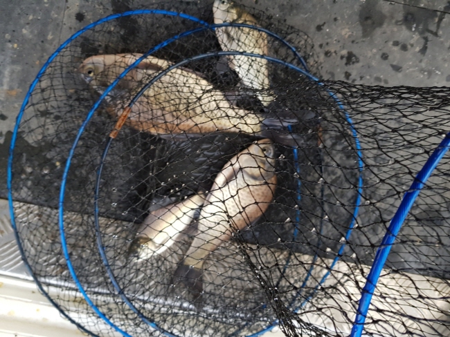 �� ����-Resized_20210123_090049.jpeg