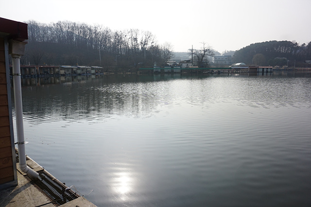 DSC07805.jpg