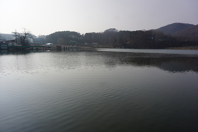 DSC07806.jpg