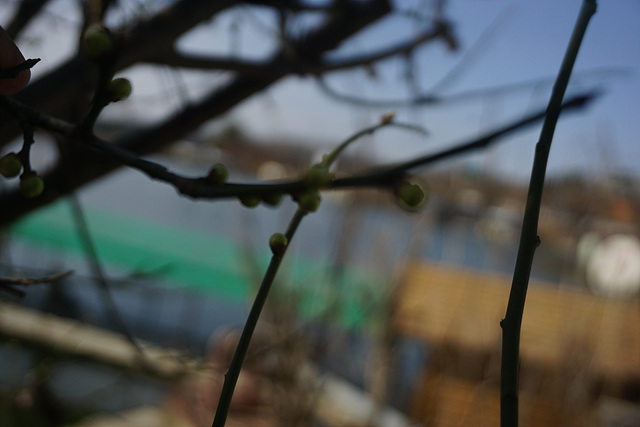 DSC07840.jpg