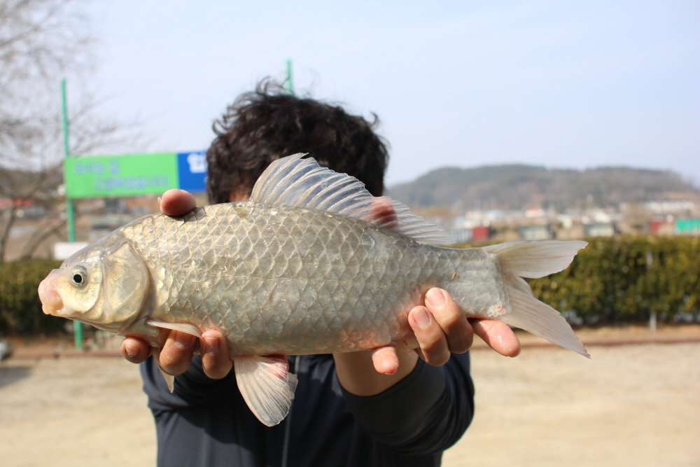 [크기변환]IMG_6603.JPG