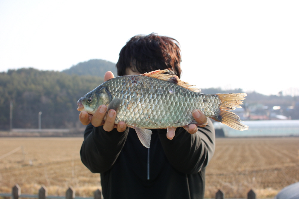 [크기변환]IMG_6884.JPG