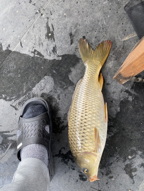 3월29일-Resized_1616543909543.jpeg