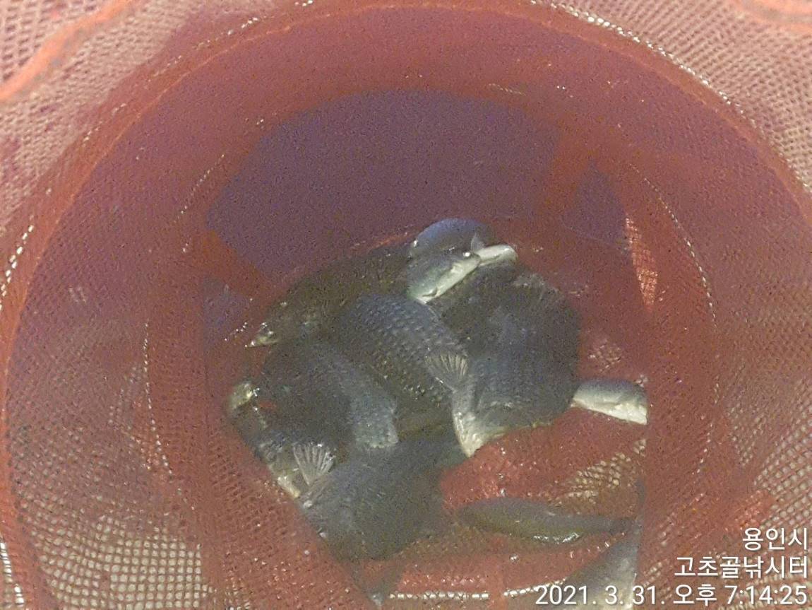 1617234034363-4.jpg