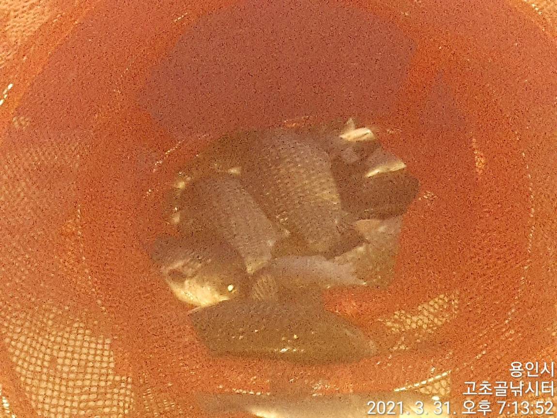 1617234034363-2.jpg