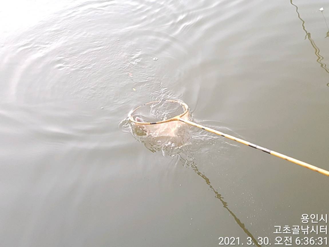 1617175674556-3.jpg