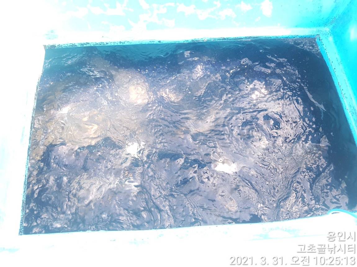 1617233887474-5.jpg