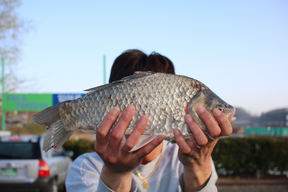 [크기변환]IMG_7347.JPG