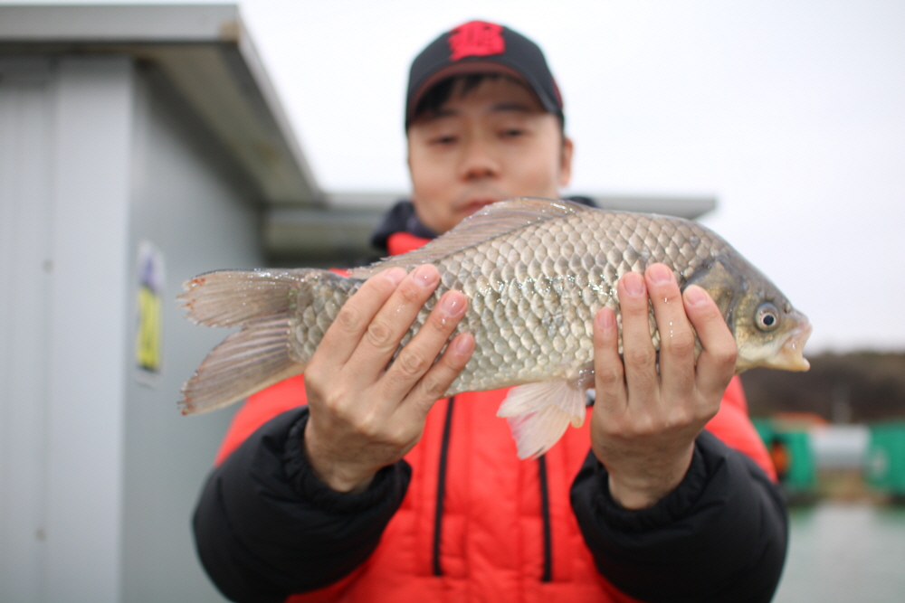 [크기변환]IMG_7998.JPG