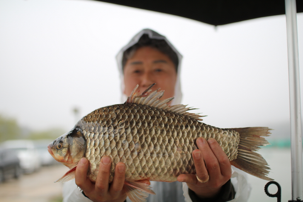[크기변환]IMG_7633.JPG