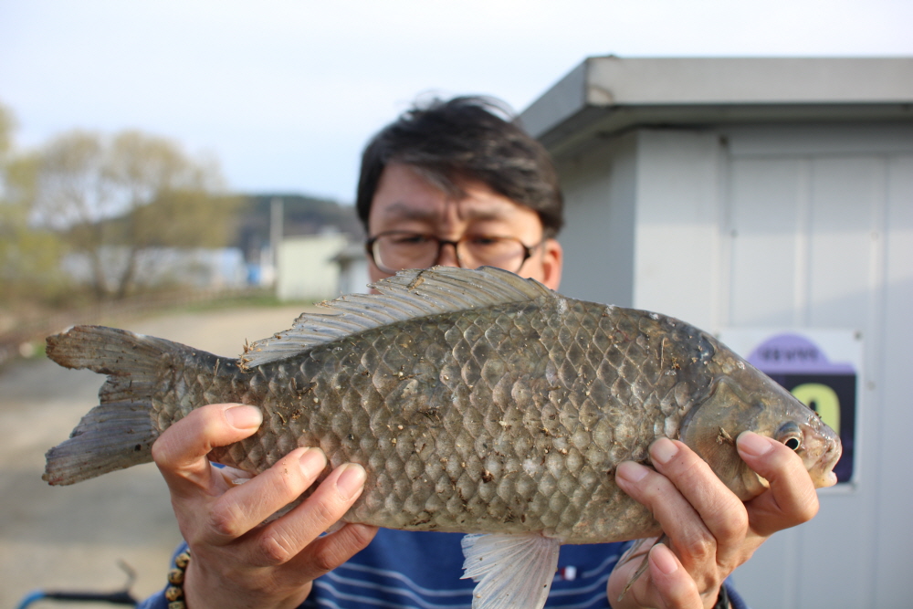 [크기변환]IMG_8115.JPG