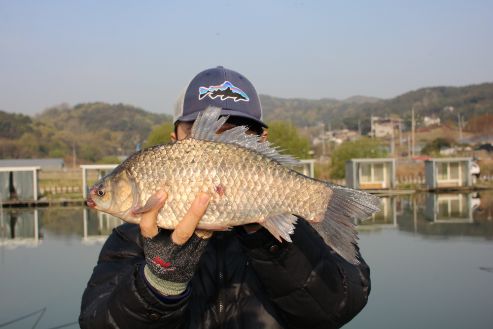 [크기변환]IMG_8489.JPG