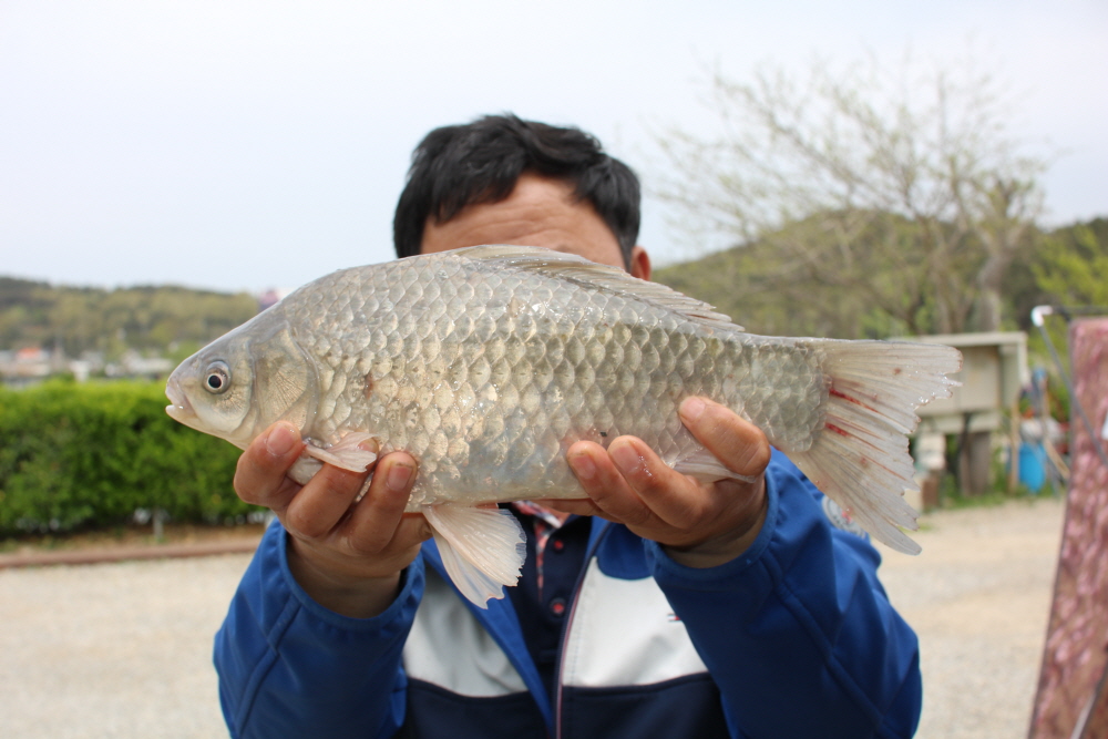 [크기변환]IMG_8608.JPG