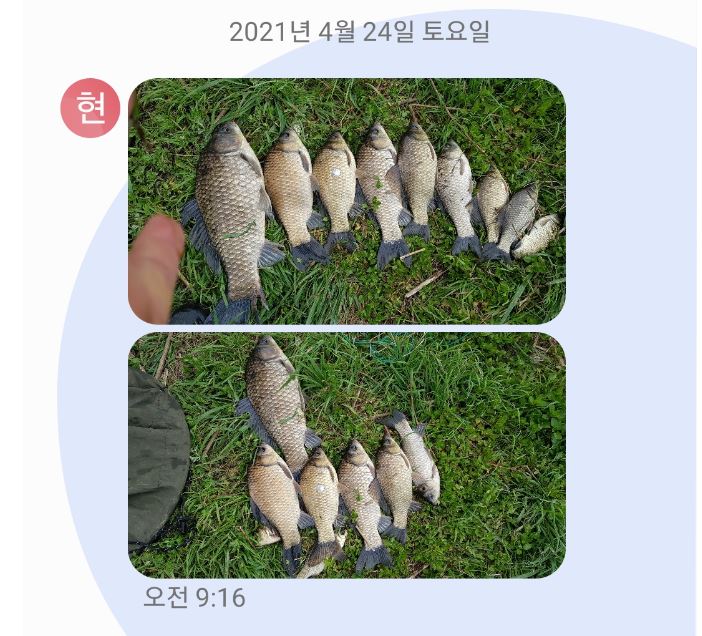 노지어망-1.JPG