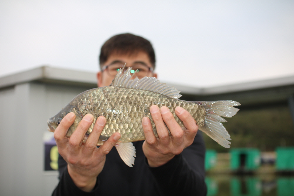 [크기변환]IMG_8753.JPG