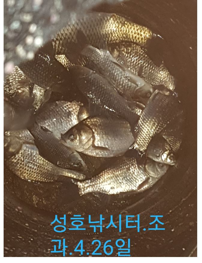 4월26일조과.JPG