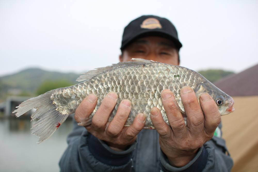 [크기변환]IMG_9425.JPG