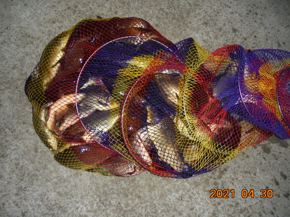 [ũ⺯ȯ]DSC03793.JPG