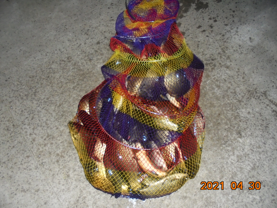 [ũ⺯ȯ]DSC03794.JPG