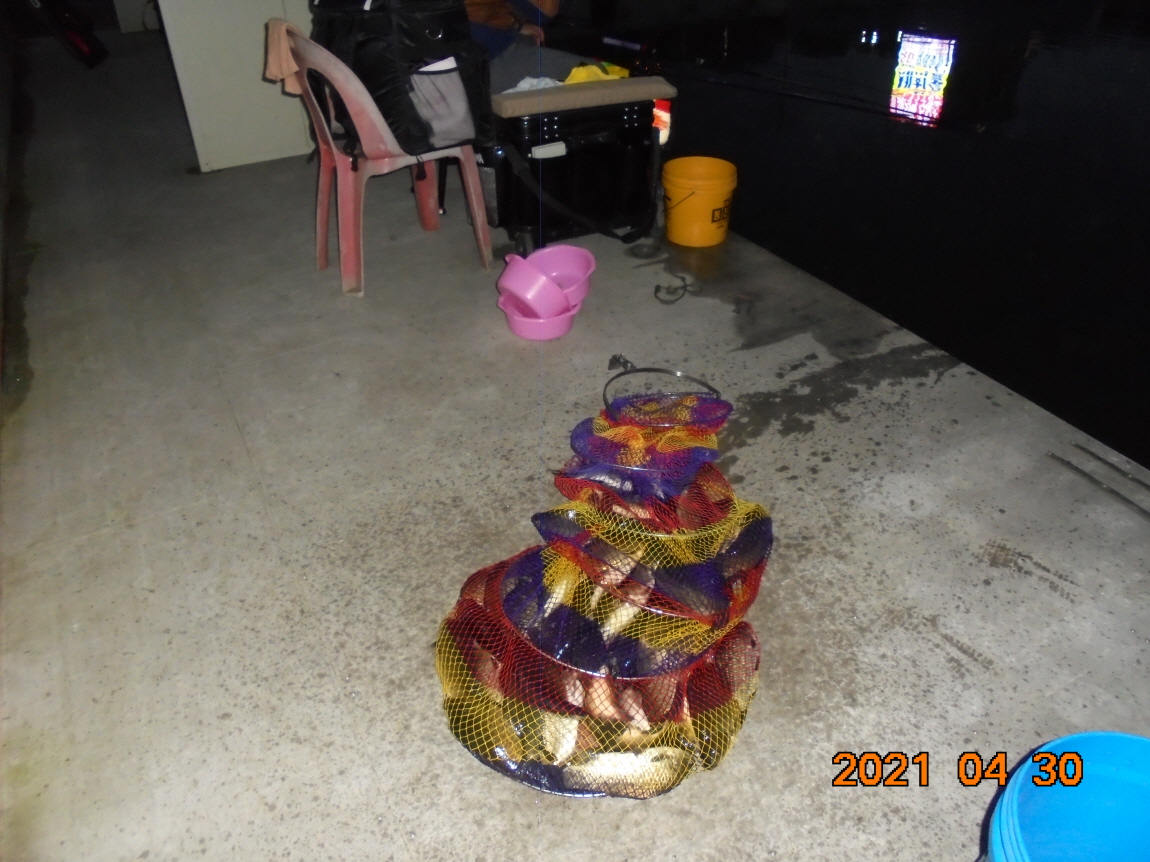 [ũ⺯ȯ]DSC03795.JPG