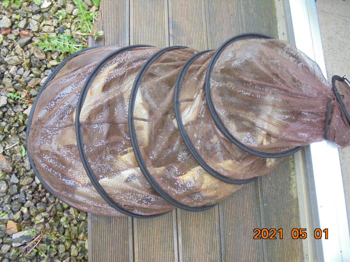 [ũ⺯ȯ]DSC03799.JPG
