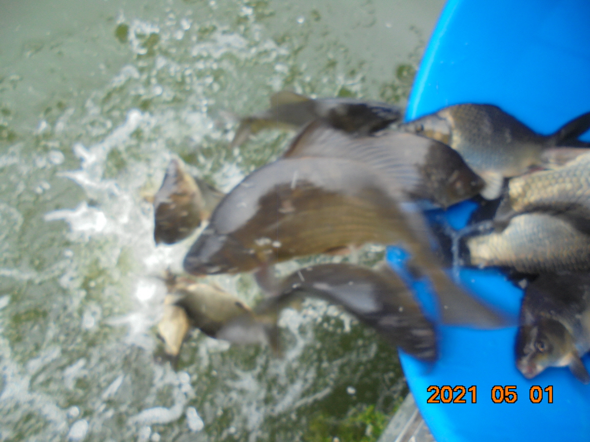 [ũ⺯ȯ]DSC03809.JPG
