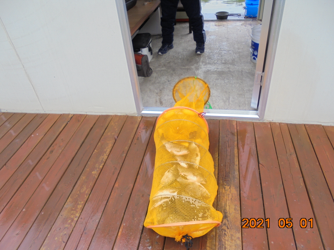 [ũ⺯ȯ]DSC03804.JPG