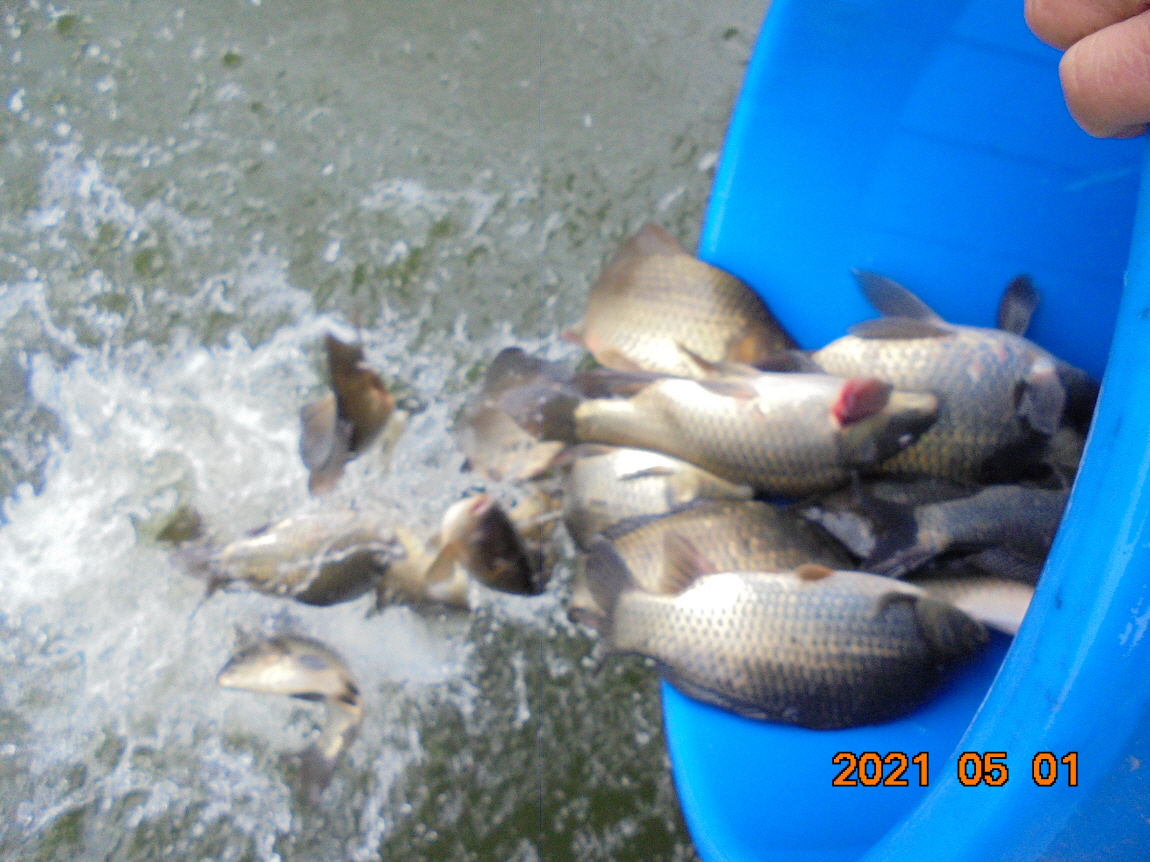 [ũ⺯ȯ]DSC03820.JPG