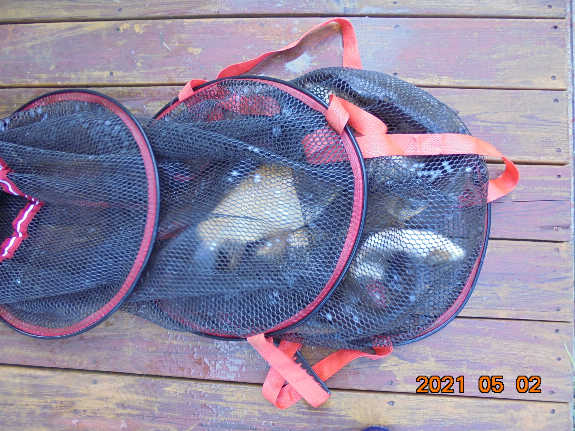 [ũ⺯ȯ]DSC03827.JPG