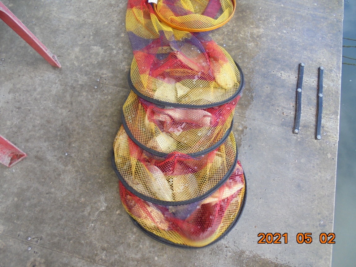 [ũ⺯ȯ]DSC03831.JPG