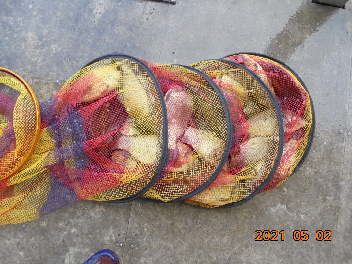 [ũ⺯ȯ]DSC03830.JPG