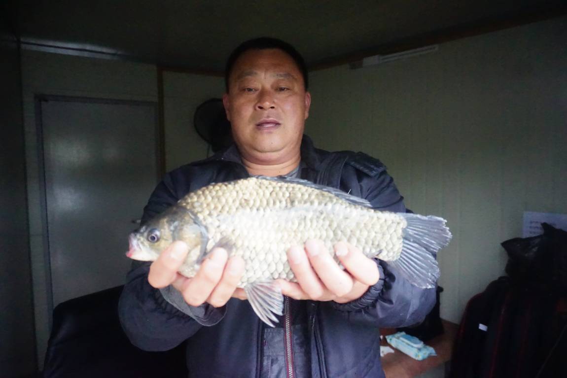 DSC08248.JPG