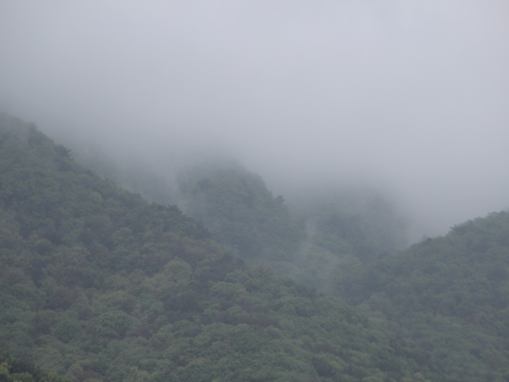 [ũ⺯ȯ]IMG_5326.JPG