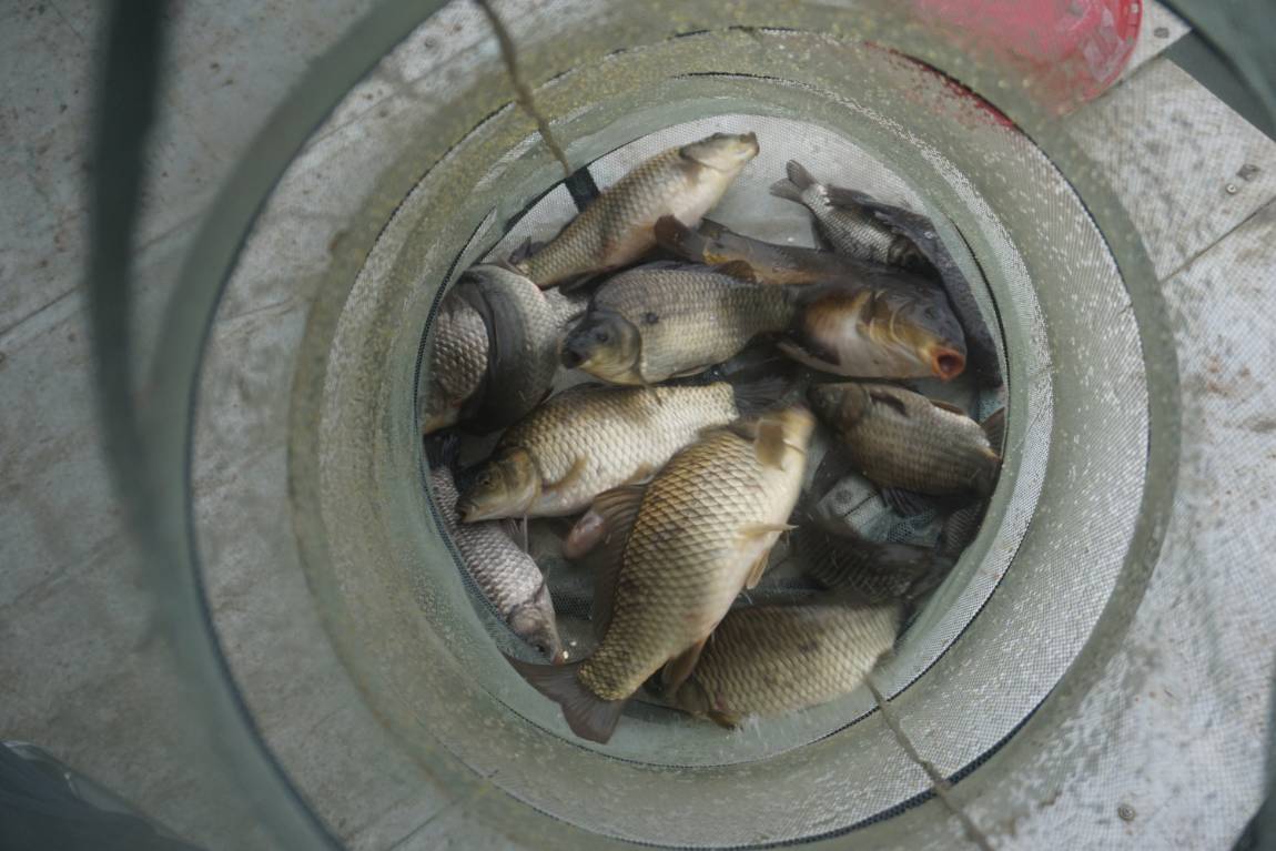 DSC08293.JPG