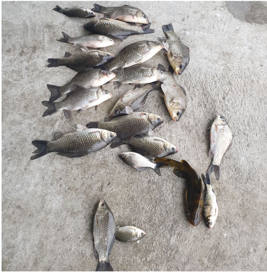 바닥-2.JPG
