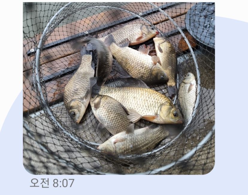 클래식.JPG