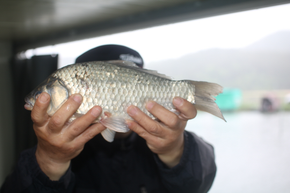 [크기변환]IMG_0376.JPG