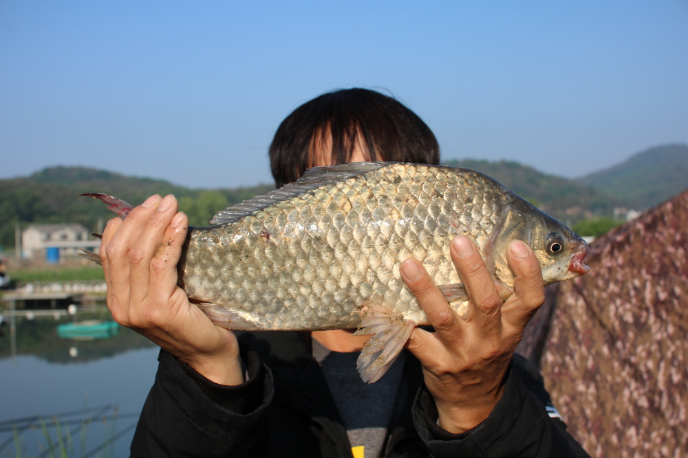 [크기변환]IMG_0586.JPG