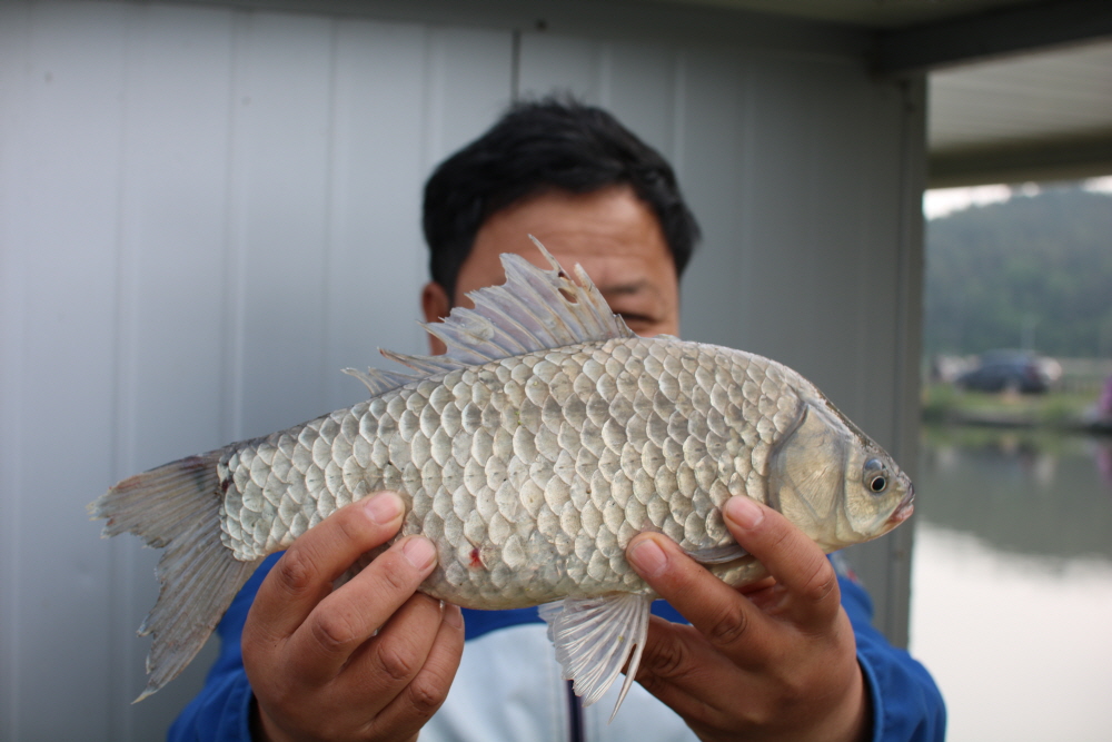 [크기변환]IMG_0514.JPG