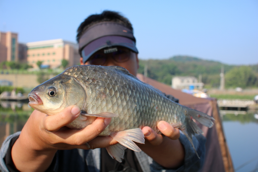 [크기변환]IMG_0597.JPG