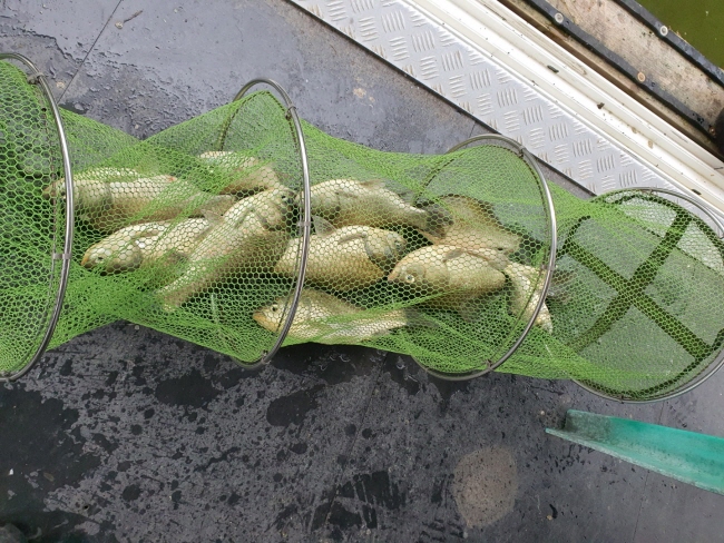 ۼ522-1621487963318.jpg